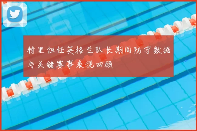 特里担任英格兰队长期间防守数据与关键赛事表现回顾