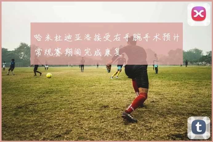 哈米杜迪亚洛接受右手腕手术预计常规赛期间完成康复
