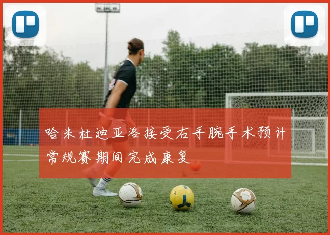 哈米杜迪亚洛接受右手腕手术预计常规赛期间完成康复