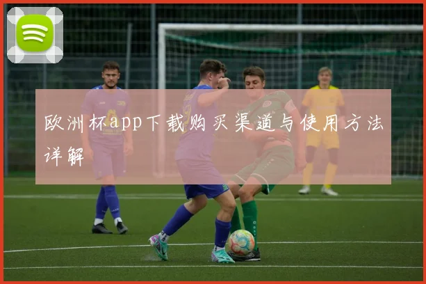 欧洲杯app下载购买渠道与使用方法详解
