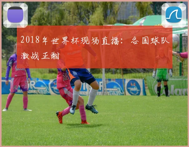 2018年世界杯现场直播：各国球队激战正酣